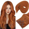 Sunny Hair Clip in Hair Extensions Straight Human Hair Clip
