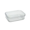Iwasaki Industries M-A-074 NN Rustroware Micro Clear Storage Container, Tritan