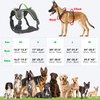 Light Up Dog Harness No Pull LED Dog Harness with