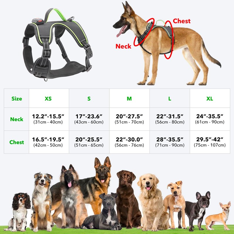 Light Up Dog Harness No Pull LED Dog Harness with