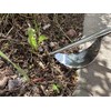 Edward Tools Weeding Tool - Leverage Metal Base Creates Perfect