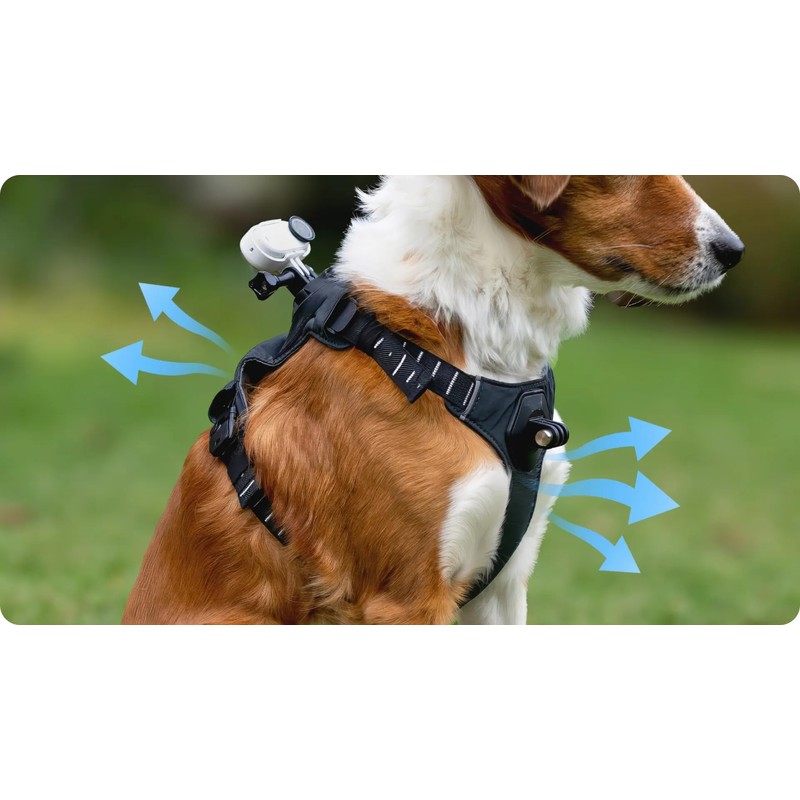 Insta360 Pet Harness Mount Size S