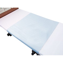 2 Piece Terry Waterproof Sheet Mr. – 2101 , , , Saxophone,