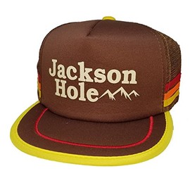 Jackson Hole Wyoming 3 Stripe Mesh Trucker Hat Cap Snapback Ski Brown