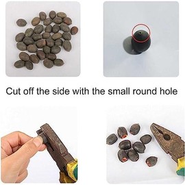 20 Seeds Lotus Flower Seeds Nelumbo Nucifera Sacred Lotus Lily Mixed Colors Pink White Colorful and Striking Water Plant Fragrant Low-Maintenance