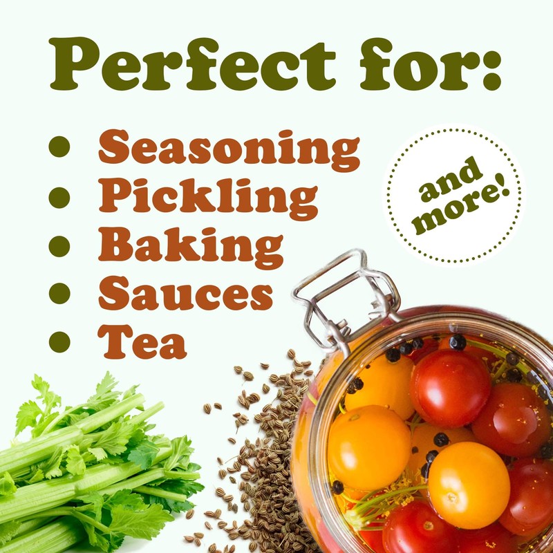 Food to Live Whole Celery Seeds, 12 Pounds – Dried