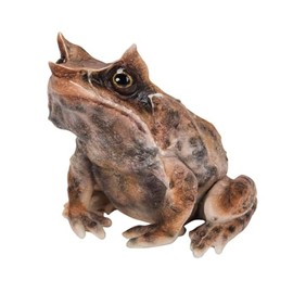 Oubia H20222 Green Frog (Small) 3.2 x 2.8 x 2.8 inches (8.3 x 7 x 7 cm) Doll Figurine Figurine Animal Garden Decoration Frog