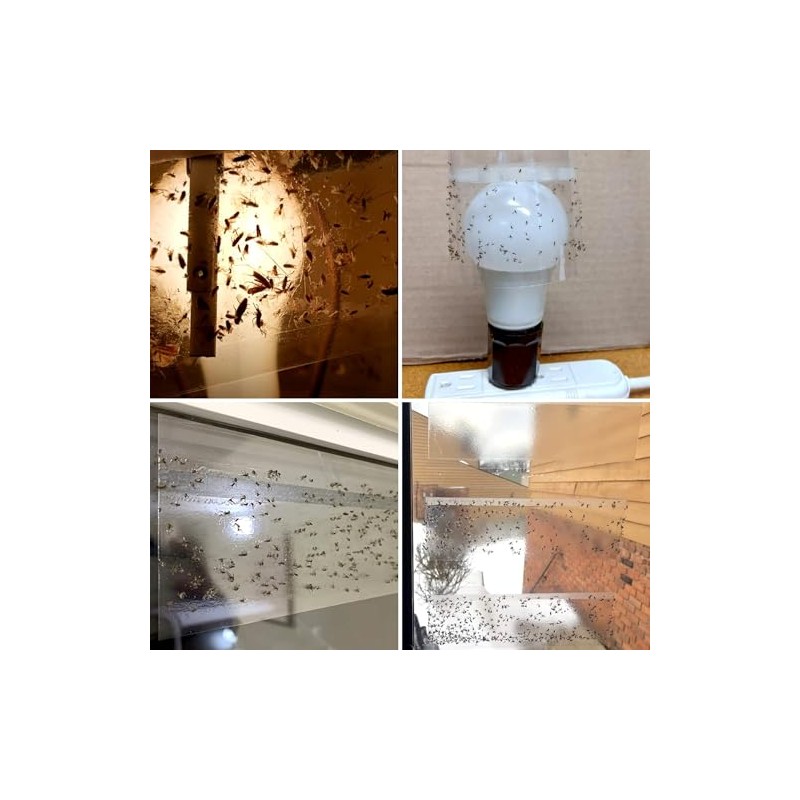 150 Pack Window Fly Trap, Fruit Fly Traps Indoors, Fly