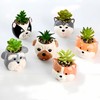 ETAKISH Dog Planter Pots - 6 Pack Ceramic Succulent Pots