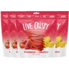 Live Crispy Fruit Chips - Pineapple-Powered Snack Packed with 100%