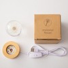 Preserved Red Daisy Crystal Ball Night Light,3D Crystal Ball with