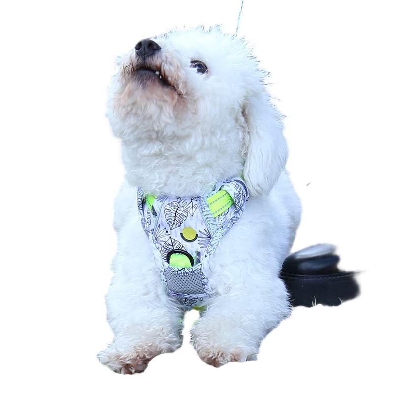 Maychan No PULL Nature Walk Harness NO PULL HARNESS Dog