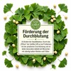 Premium Ginkgo Biloba Leaves 50 g | 100% Pure, Raw,