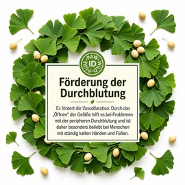 Premium Ginkgo Biloba Leaves 50 g | 100% Pure, Raw, Wild, GMO Free, Vegan | For Concentration, Memory & Mental Performance | Ideal for Herbal Tea & Extracts