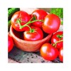 Park Seed Celebrity Hybrid Tomato Seeds, Includes 30 Seeds in