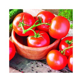 Park Seed Celebrity Hybrid Tomato Seeds, Includes 30 Seeds in a Pack