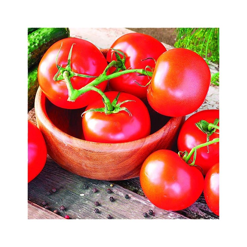 Park Seed Celebrity Hybrid Tomato Seeds, Includes 30 Seeds in