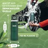 Naturbummler Water Filter Bottle 750 ml [Co2 Neutral] Including Hanging