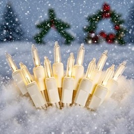 FGDECORJOIE Christmas Lights 100 Counts, Indoor Outdoor,Green Wire Connectable of Lighting String Warm White,Decorations for Holiday, Party,Festival,Christmas String Lights (White-Clear)