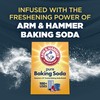 ARM & HAMMER Clean Scentsations In-Wash Scent Booster, Cool Woods