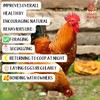 Organic Chicken Kelp: Chicken Vitamins Supplement & Duck Feed Supplement