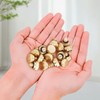 Brass Misting Nozzle Plug 12pcs Brass Misting Nozzle Plug 3/16