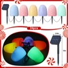 12 Pcs Set of 12 6'' Gumdrop Christmas Pathway Lights