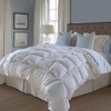 Bella Sonni Luxury Twin Size Down Comforter | All Season