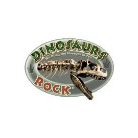 Bulk Genuine Pyrite or Fool's Gold - 1 Lb - 30 Pieces