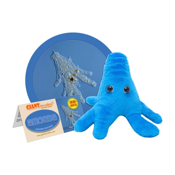 GIANTmicrobes Amoeba Plush – Learn About Nature and Biology with This Cuddly Plush, Unique Gift for Family, Friends, Water Lovers, Scientists, Educators and Students