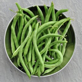 Everwilde Farms 1 Lb Landreth Stringless Green Bush Bean Seeds - Everwilde Farms Mylar Packet