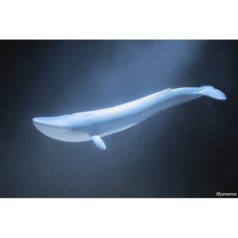 SCHLEICH Wild Life Blue Whale Educational Figurine for Kids Ages