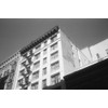 Foma Fomapan Photo Film (200 ASA Black/White Negative Roll Film/Medium