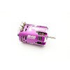 Reve D ABSOLUTE1 Motor (Purple, 13.5T) RM-A135P