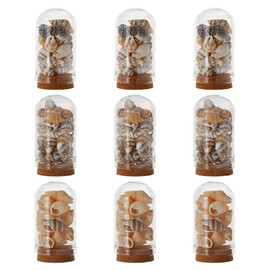 SUPERFINDINGS 9Pcs 3Styles Arch Shape Glass Dome Bell Jar with Natural Mixed Cowrie Shell, Glass Cloche Display Bell with Wooden Base Sea Styles Globes Case Keepsake Tabletop