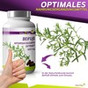 Vita2You Mugwort Extract, 180 Capsules, Artemisia Vulgaris, 10:1 Extract, 6000