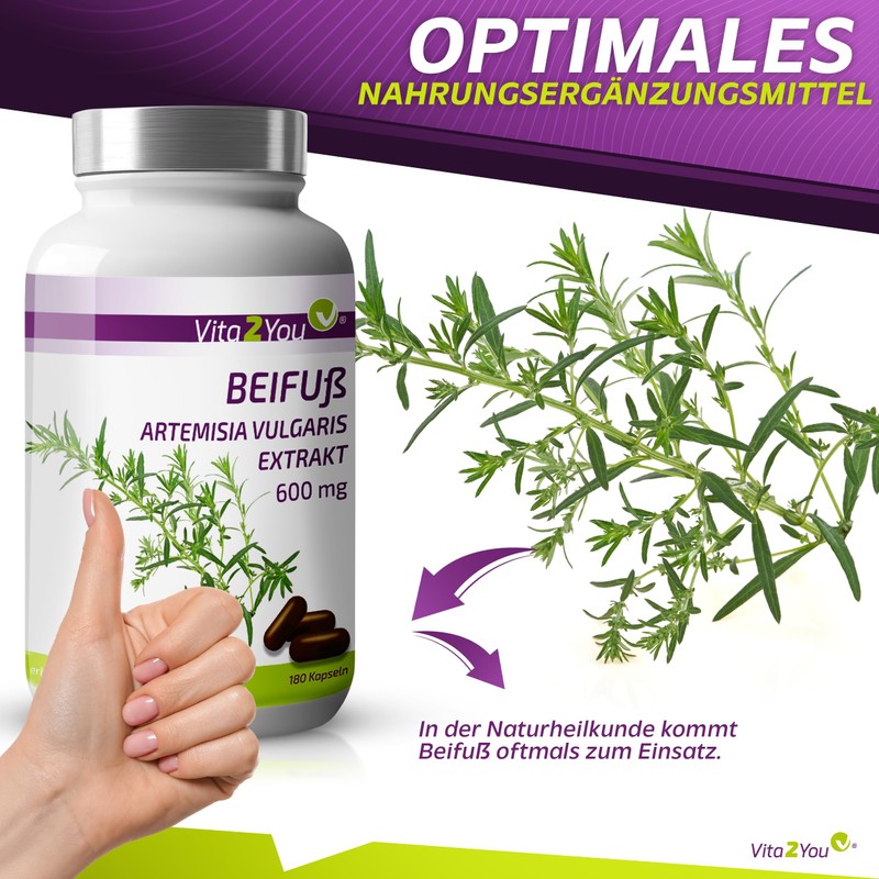Vita2You Mugwort Extract, 180 Capsules, Artemisia Vulgaris, 10:1 Extract, 6000
