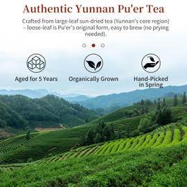CHADUO Puerh Tea Loose Leaf Aged 5 Years Premium Yunnan Pu erh Ripe Puer Tea 7.05oz/200g Royal-Grade Aged Aroma & Jujube Fragrance 普洱茶 普洱散茶 宫廷普洱茶 云南勐海