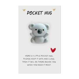 Pocket Hug Gift A Little Pocket Poala Hug Koala Gifts Mini Animal Pocket Hug Decoration Cute Pocket Keepsake Ornament Encourage Gift for Friends Lovers Birthday Valentines (Koala)