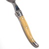 Lagulore ABS Handle, Teaspoon, Made in France, NERON, Blonde Marble