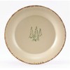 Park Designs Rustic Retreat Dinner Plates Set of 4