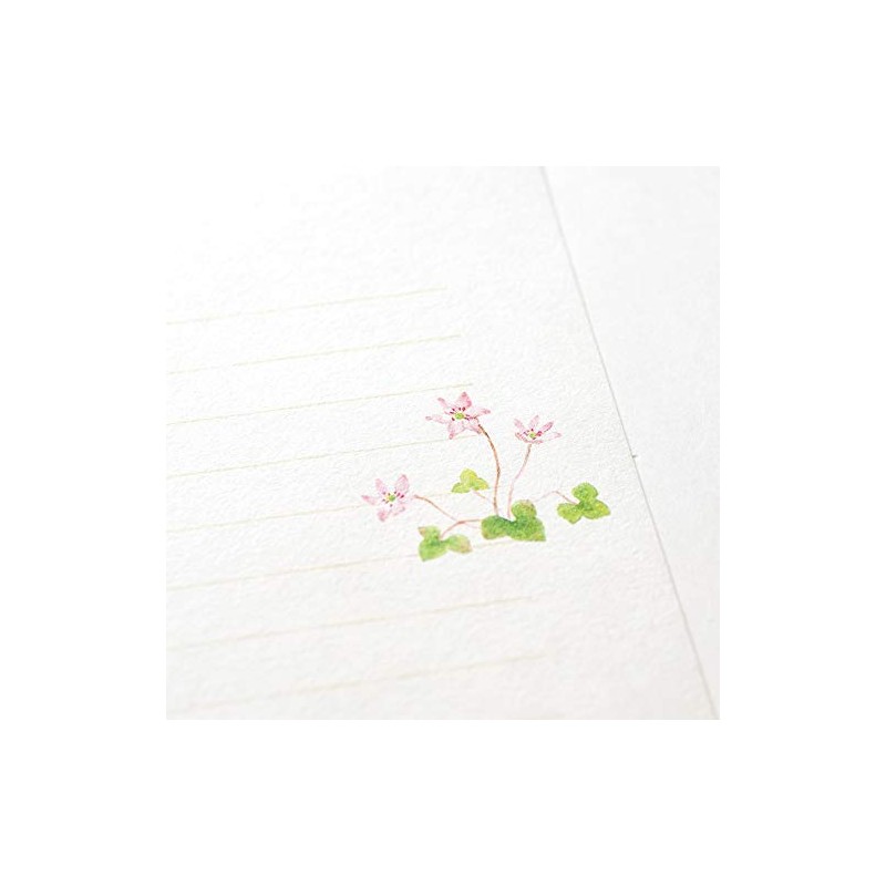 G.C.PRESS KAMIJISEN Wildflower Various Stationery / Envelope Set