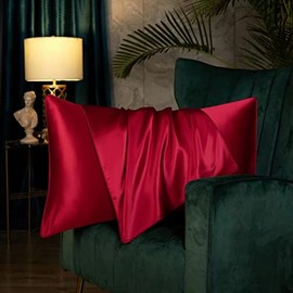 Juwenin Home Both Sides Luxury Mulberry Silk Pillowcase 19 Momme Soft Breathable Avoid Facial Wrinkles Hidden Zipper 1pc/pack 100% Pure Natural Silk (Burgundy, Standard 50x75cm)