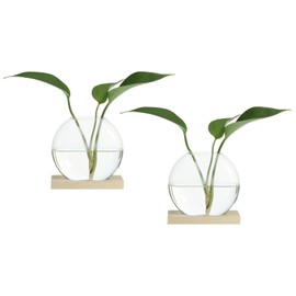PATIKIL Plant Propagation Station Glass Vases, 2 Pack Desktop Round Planter Terrarium Vase with Wooden Stand for Hydroponic Office Home Decor Plants Indoor, Light Brown