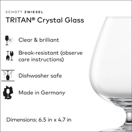 SCHOTT ZWIESEL Bar Special XXL Cognac Glass (Set of 6), Bar Glasses for Cognac, Dishwasher-Safe Tritan Crystal Glass, Made in Germany (27 Ounce)