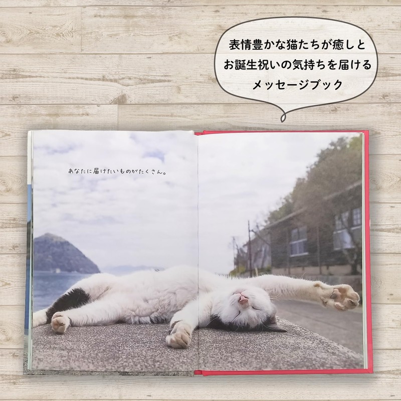 Gakken Staful Birthday Card, Happy Birthday Masayuki Oki Cat B10045