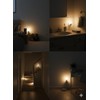 FamilyMaid Clear Night Light Bulbs – 6PC