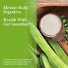 PHGG Partially Hydrolyzed Guar Gum | Organic Sunfiber Soluble Fiber