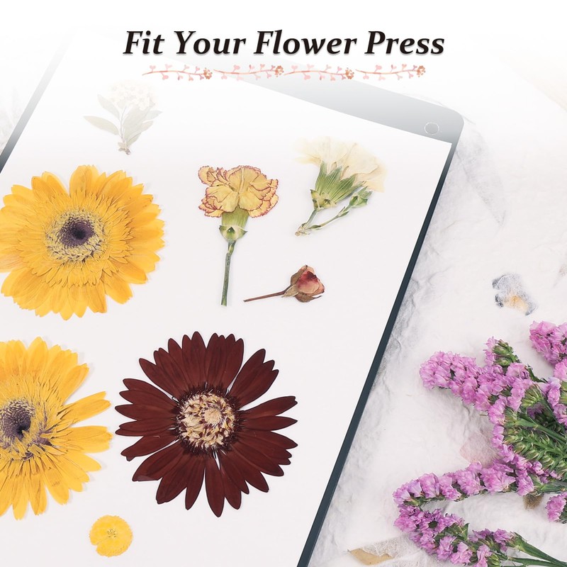 Aboofx 26 Sheets Blotting Paper for Flower Press, A4 Size