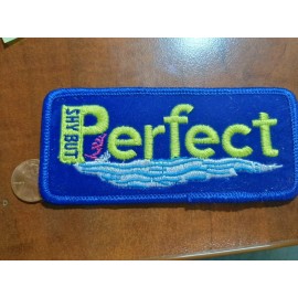 Voyager NEW Vintage Voyager Shy But Perfect Retro embroidered patch Iron-on or sew Cool!